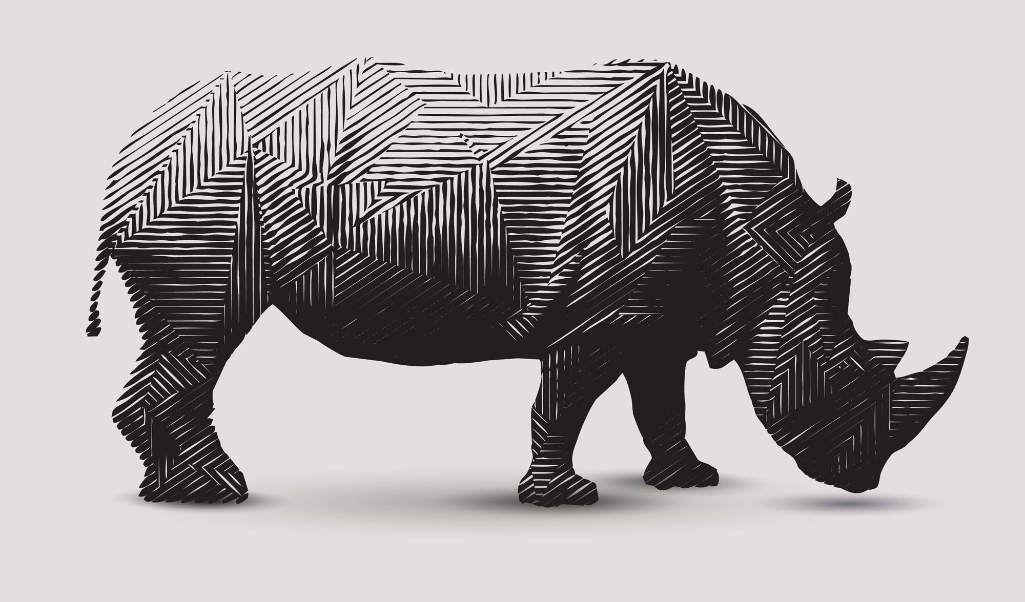 Полосатый носорог